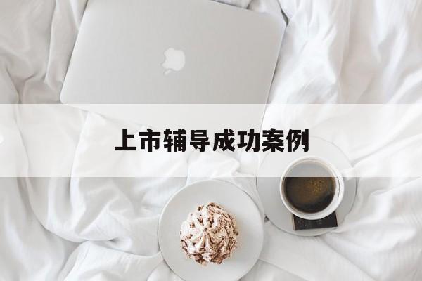 上市辅导成功案例(上市辅导成功后肯定会上市吗)泰州市 上市辅导成功案例(上市辅导成功后肯定会上市吗)泰州市